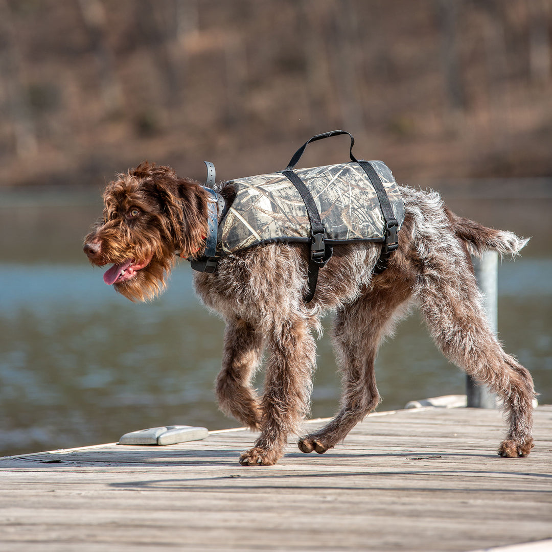 Nylon Pet Vest