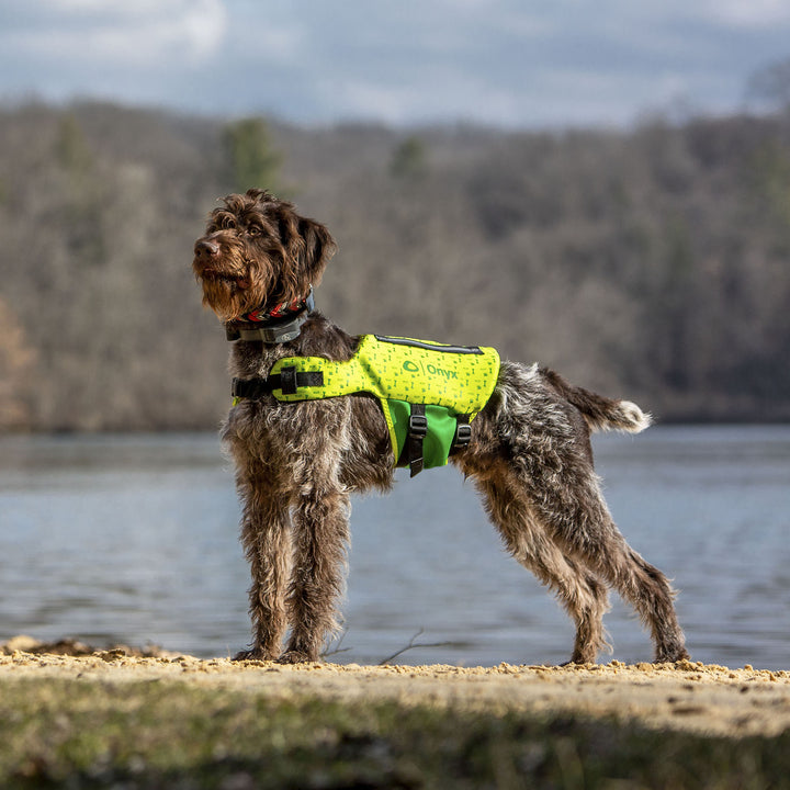 Rapid-Dry Pet Vest