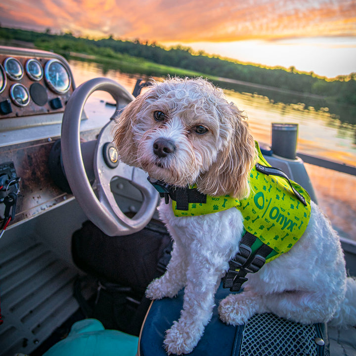 Rapid-Dry Pet Vest