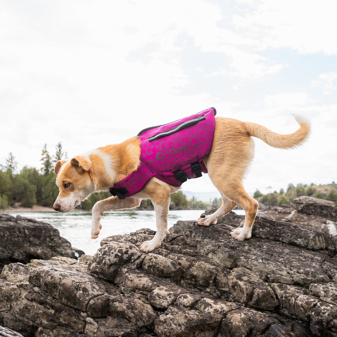 Rapid-Dry Pet Vest