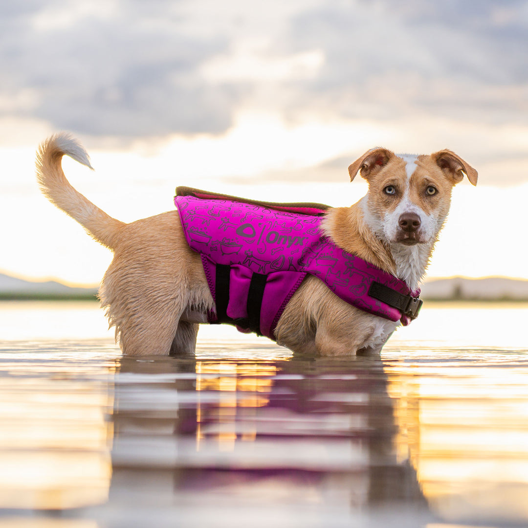 Rapid-Dry Pet Vest