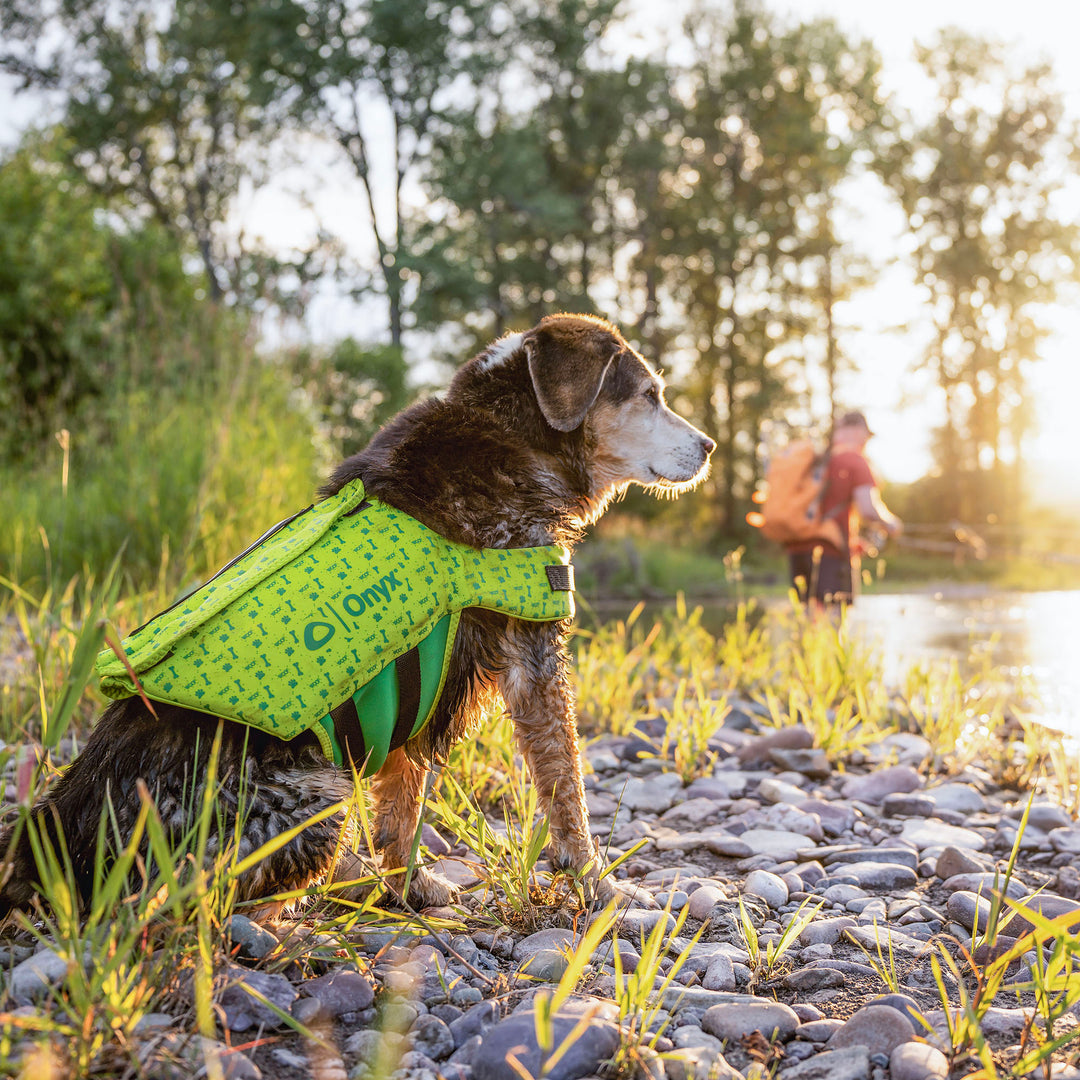 Rapid-Dry Pet Vest